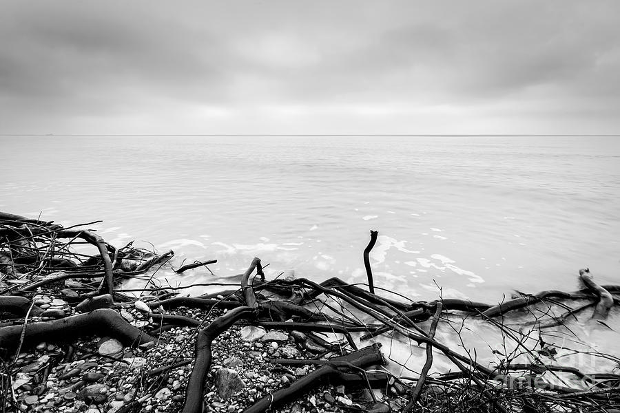 Broken tree branches on the beach after storm Photograph by Michal Bednarek