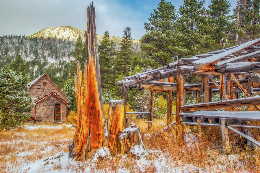 Broken Tree on an Abandoned Homestead Photograph by Marc Crumpler
