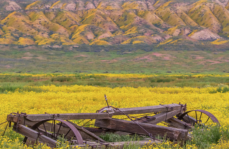 Broken Wagon in a Field of Flowers Photograph by Marc Crumpler