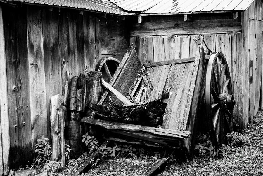 Broken Wagon Photograph by M G Whittingham
