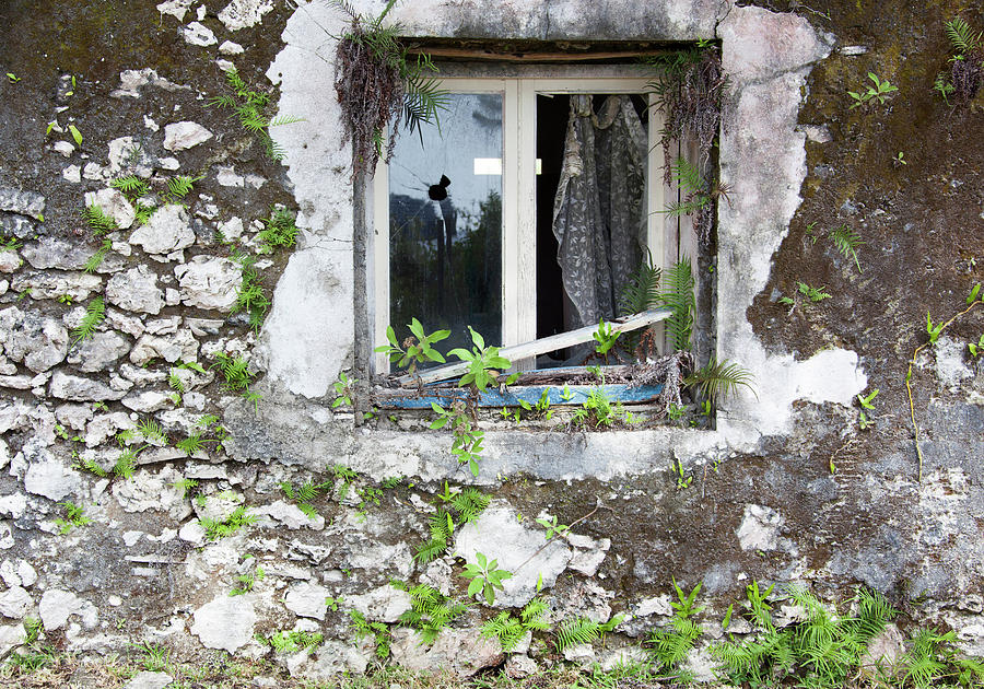 Broken Window Photograph by Ramunas Bruzas
