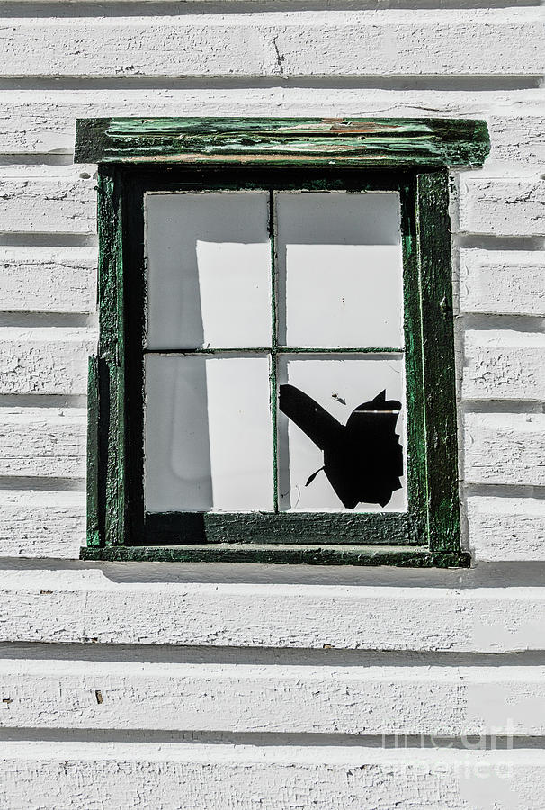 Broken Window Photograph by Thomas Marchessault