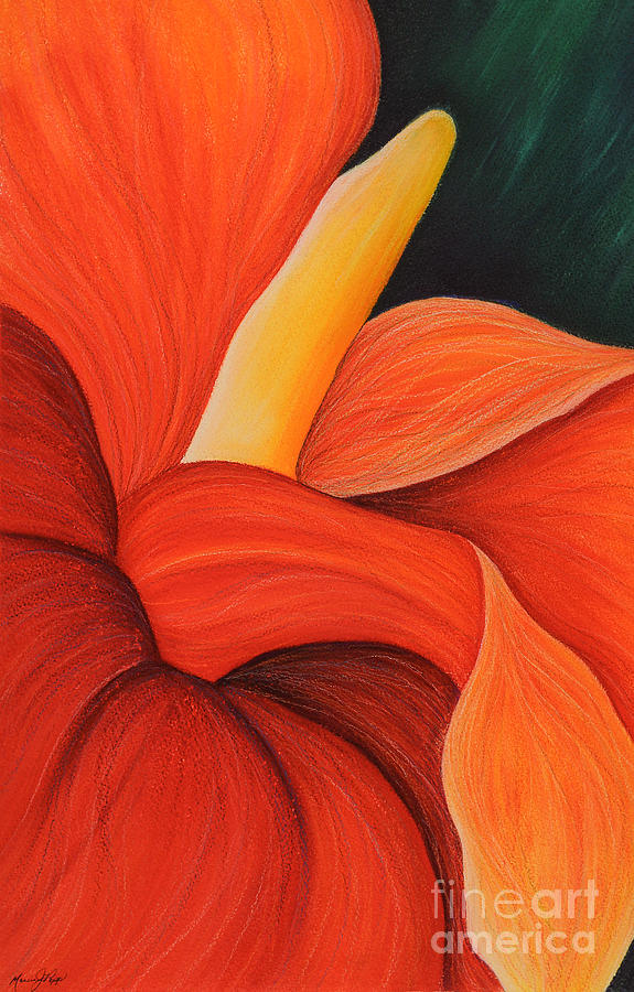 Nature Drawing - Bromeliad Flower by Marcia J Popp