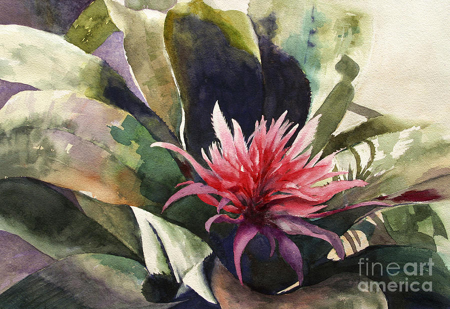 Impressionism Painting - Bromiliad by Madeleine Holzberg