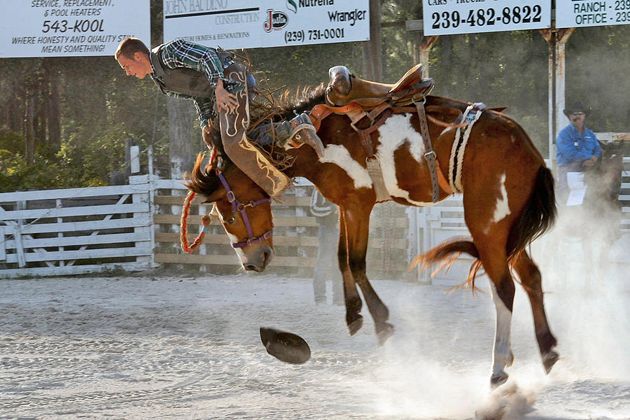 Horse Photograph - Bronc Riding  by Keith Lovejoy