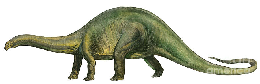 Brontosaurus, A Prehistoric Era Digital Art