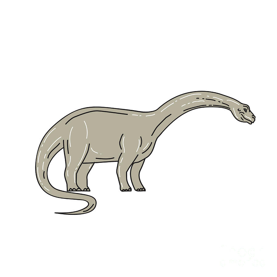 Dinosaur Digital Art - Brontosaurus Dinosaur Looking Down Mono Line by Aloysius Patrimonio