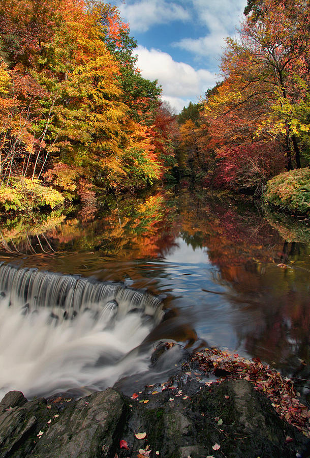 Bronx River Waterfall Photograph by June Marie Sobrito