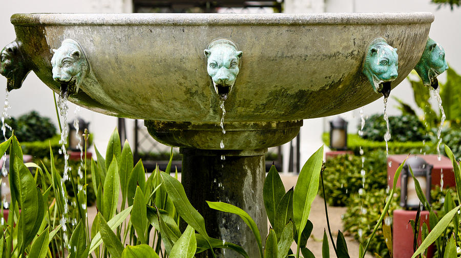 Bronze Civit Head Fountain Photograph by Teresa Mucha