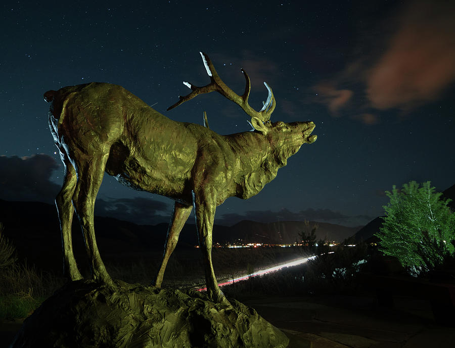 Bronze Elk in Jackson Hole Photograph by Hal Mitzenmacher