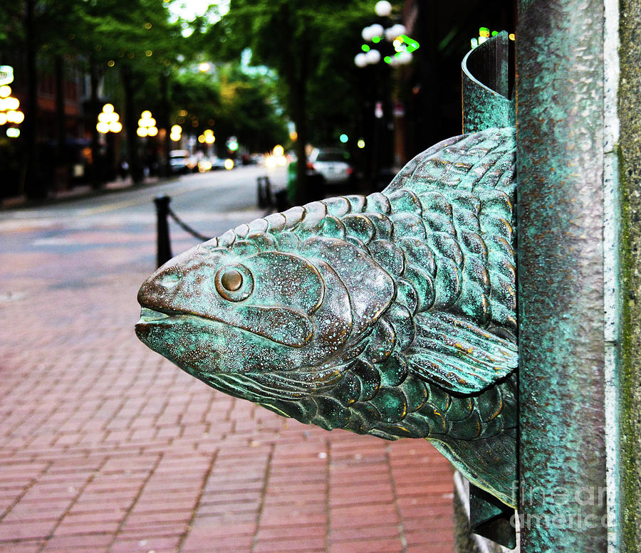 Bronze Fish-Head of Gastown, Vancouver, BC, Canada Photograph by Zaira Dzhaubaeva