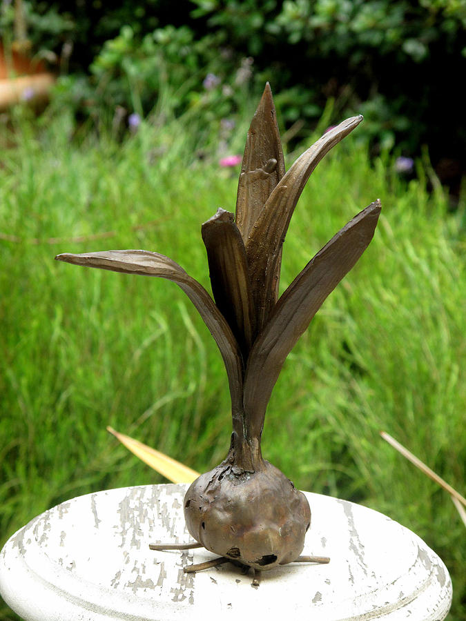 Bronze Garlic Sculpture by Karen Peterson