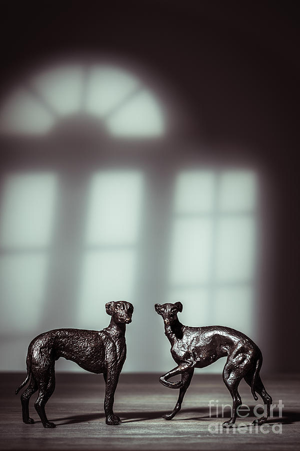 Dog Photograph - Bronze Greyhound Figures by Amanda Elwell