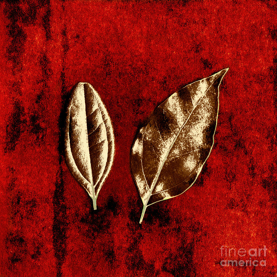 Nature Photograph - Bronze Leaves on Red by Dolly Mohr