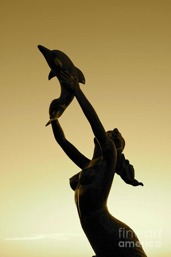 Bronze Mermaid Photograph by Becqi Sherman