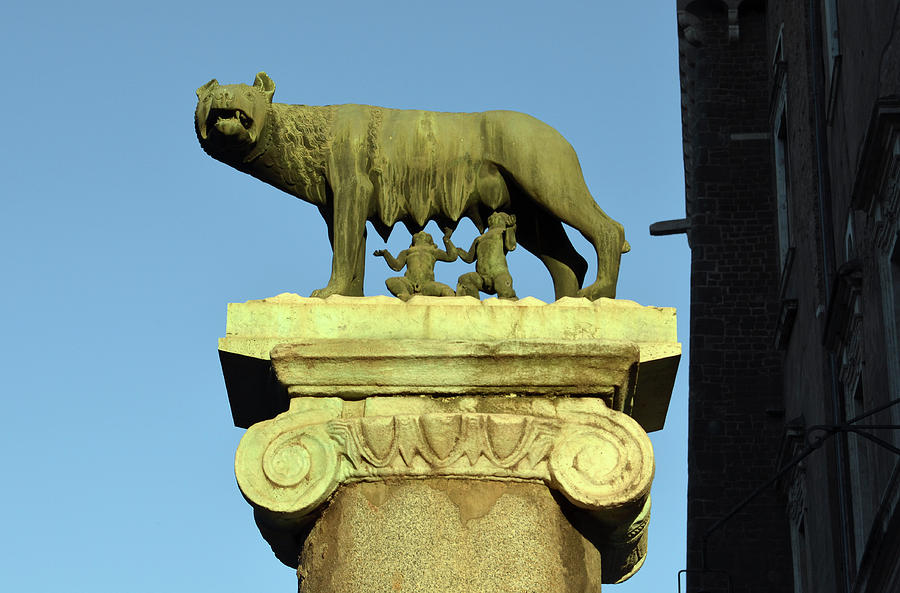 Bronze Romulus Remus and Wolf Statue at Capitoline Museum Rome Italy Photograph by Shawn OBrien
