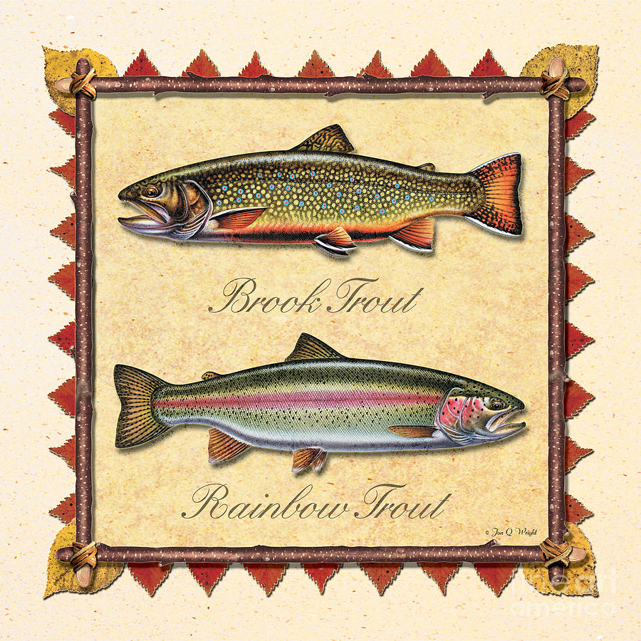 Brook and Rainbow Trout Creme Painting by JQ Licensing