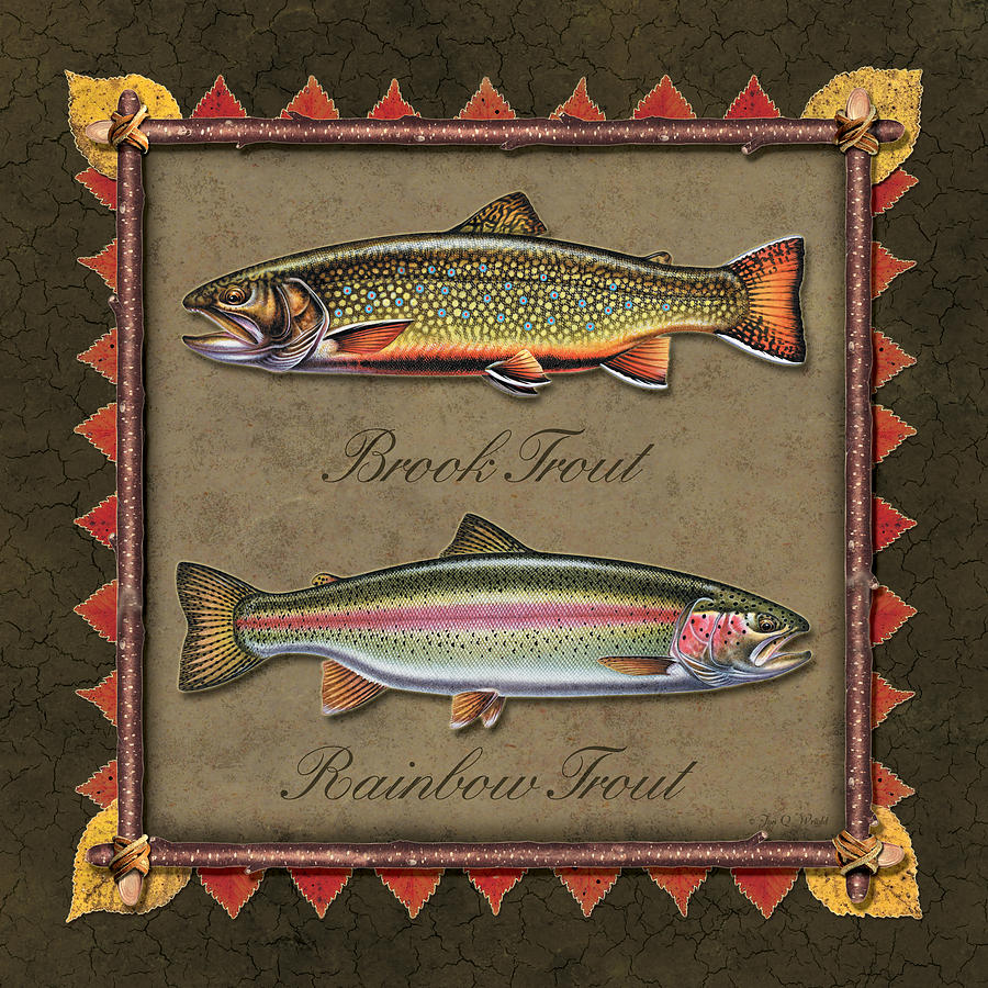 Brook and Rainbow trout Painting by JQ Licensing