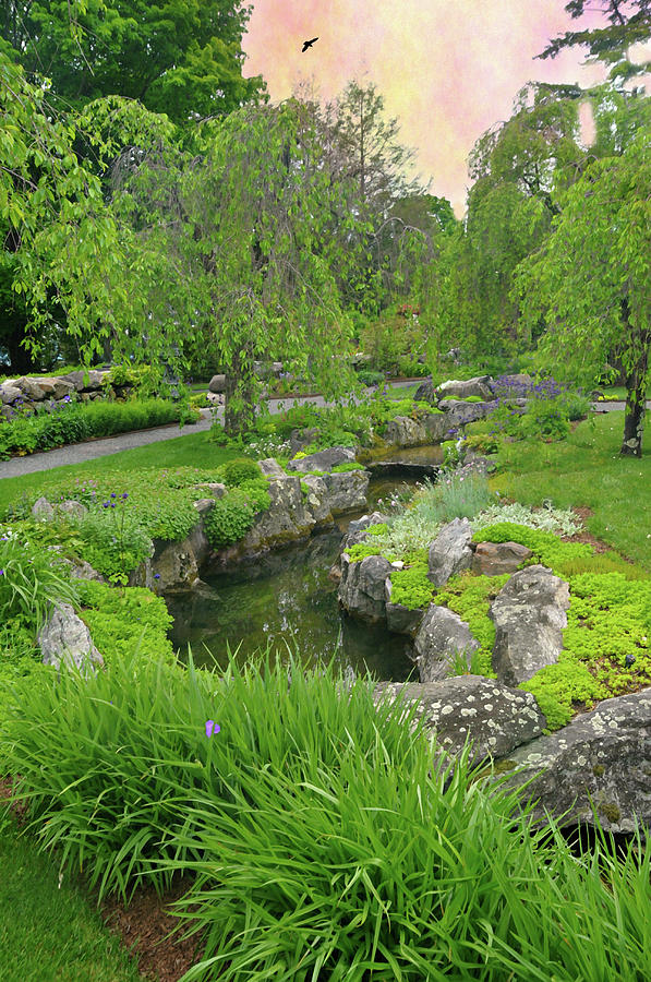 The Brook Garden Photograph by Diana Angstadt