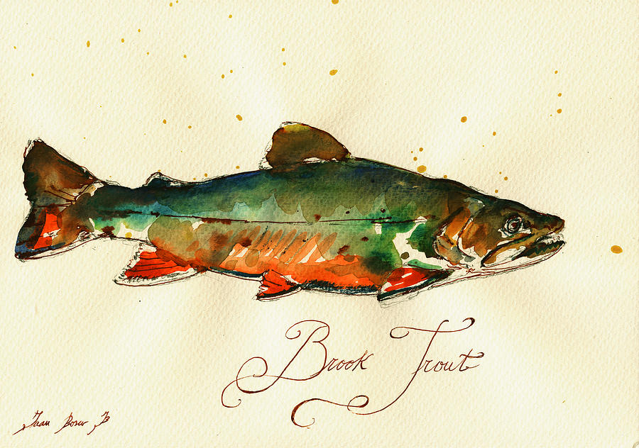 Brook Trout Painting - Brook trout art by Juan  Bosco