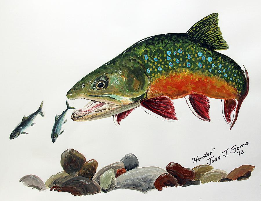 Trout Painting - Brook trout by Juan Jose Serra