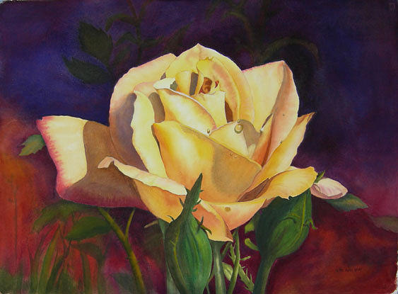 Flower Painting - Brookes Texas Rose by Pat Aube Gray
