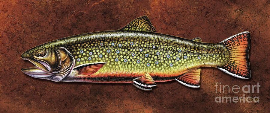 Trout Painting - Brookie Dream by JQ Licensing