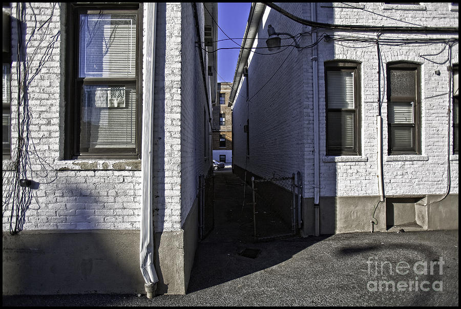 New York City Photograph - Brooklyn Alleyway by Madeline Ellis
