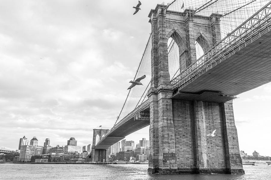 Brooklyn Bridge and Seagulls Photograph by SR Green