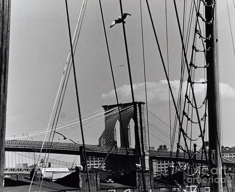 Brooklyn Bridge from South Street Seaport Photograph by Anthony Butera