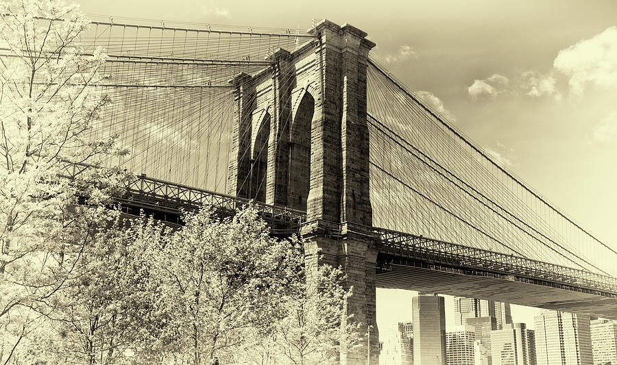 Brooklyn Bridge Photograph by John Hoey