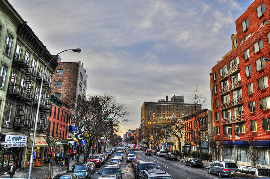 Brooklyn Street View Photograph by Randy Aveille | Fine Art America