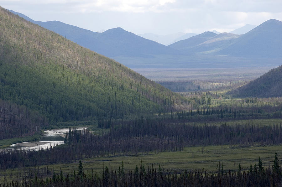 Brooks Range Alaska Photograph By Michael S Quinton   Brooks Range Alaska Michael S Quinton 