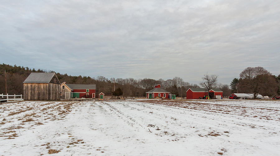 Brookwood Farm in Winter Photograph by Brian MacLean