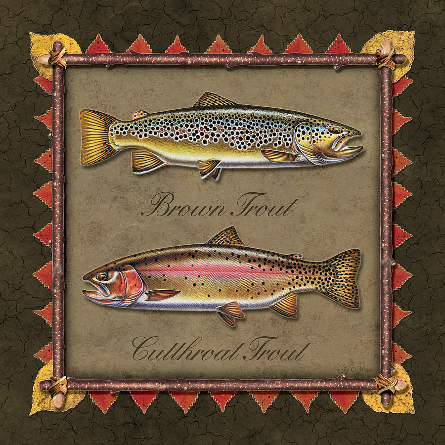 Brown and Cutthroat Trout Painting by JQ Licensing