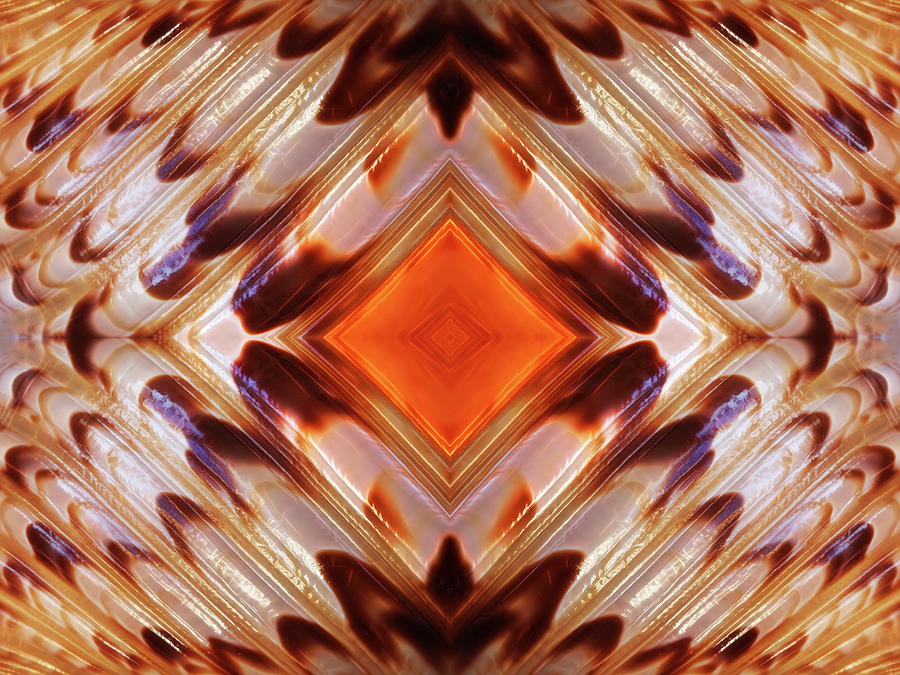 Brown And Orange Shell Abstract Photograph by Gill Billington