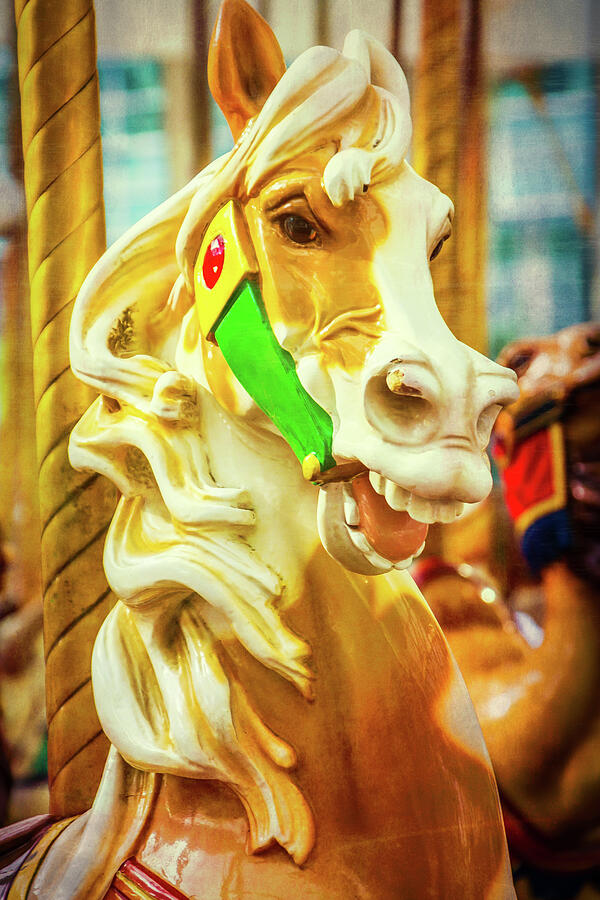 Horse Photograph - Brown And White Carrousel Horse by Garry Gay