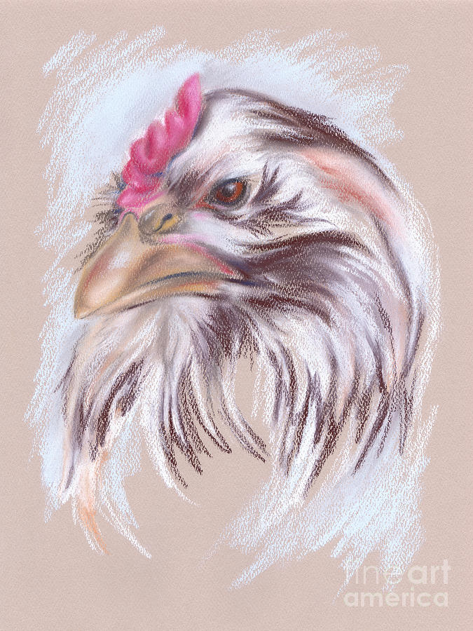 Brown and White Hen Portrait Pastel by MM Anderson