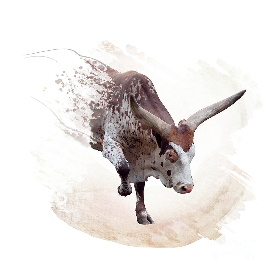 Brown And White Longhorn Steer Watercolor Digital Art by Svetlana Foote ...