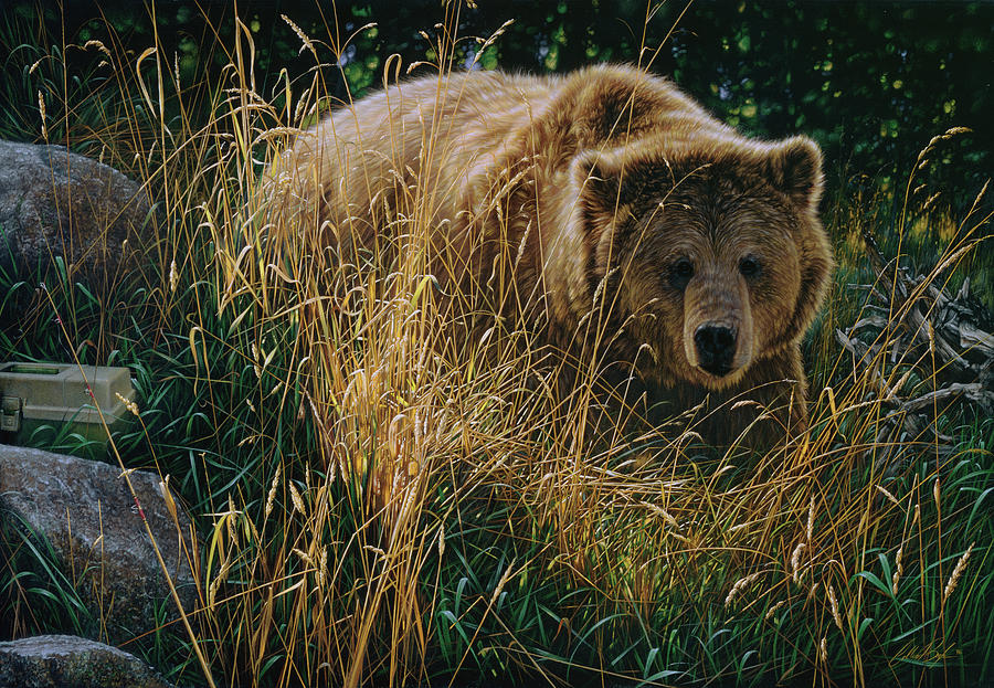 Brown Bear - Crossing Paths Painting by Collin Bogle