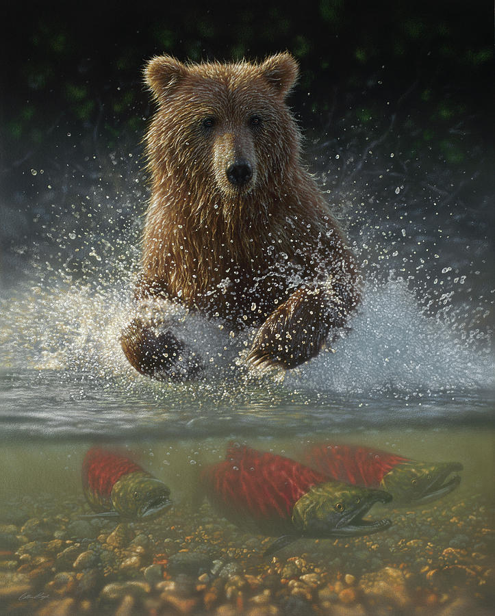Bear Painting - Brown Bear - Lucky Hole by Collin Bogle
