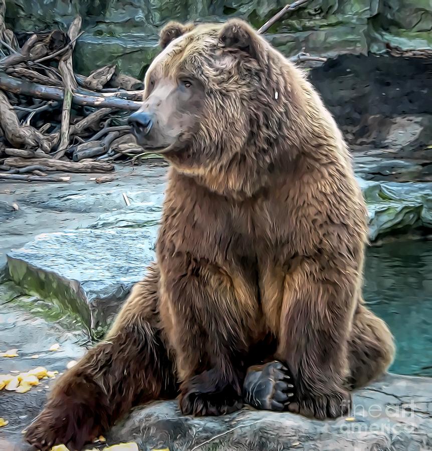 Brown Bear Smudge Effect Photograph