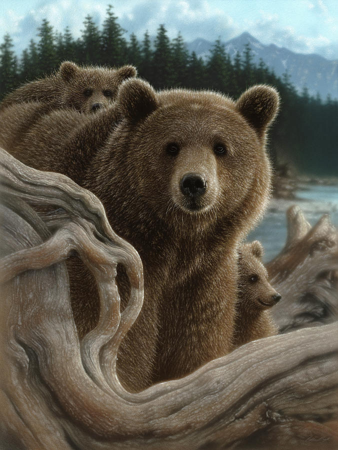 Bear Painting - Brown Bear With Cubs - Backpacking by Collin Bogle