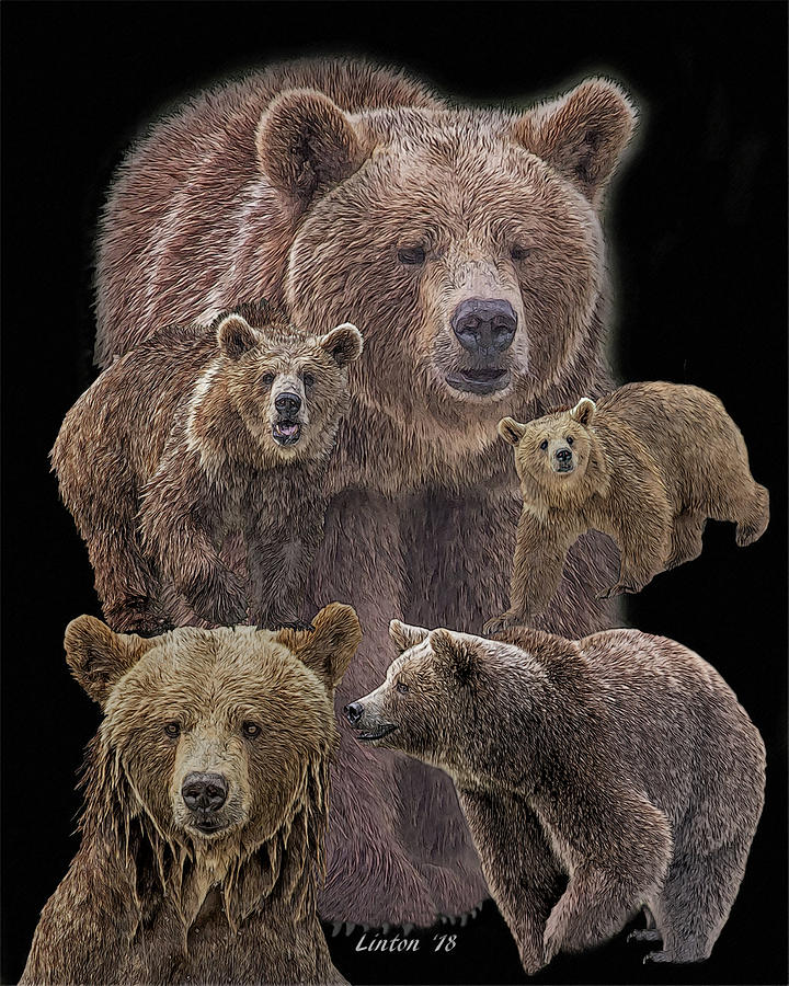 Brown Bears 8 Digital Art by Larry Linton