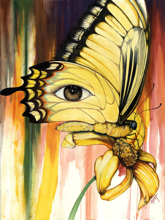 Butterfly Mixed Media - Brown Eyes Butterfly by Anthony Burks Sr