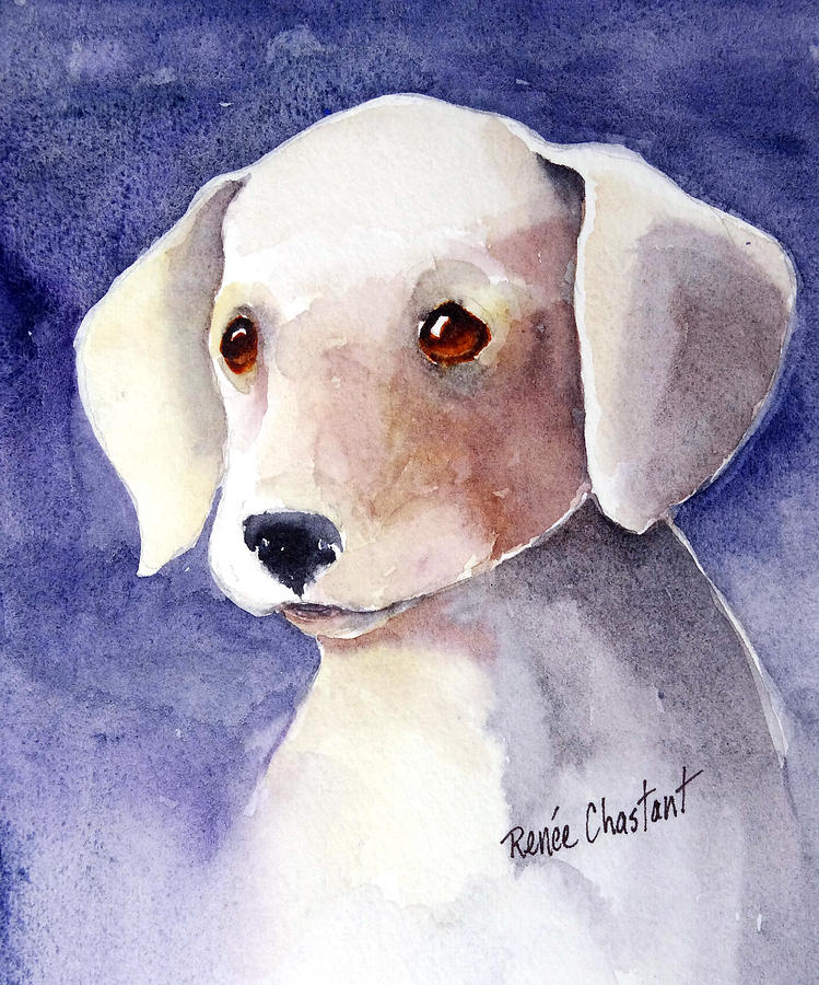 Dog Painting - Brown Eyes by Renee Chastant