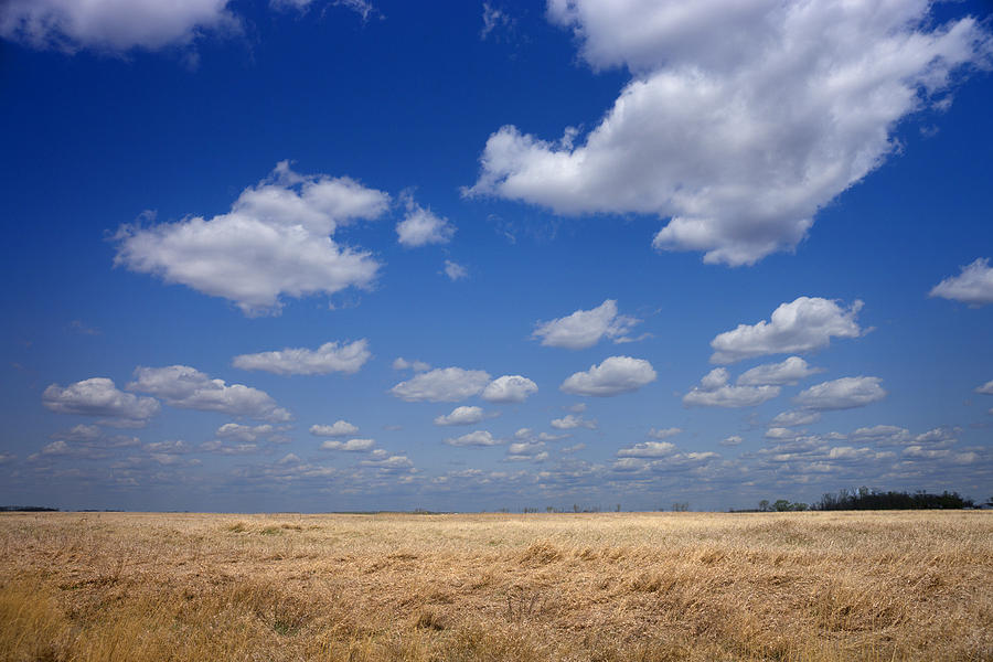 Brown Grass Prairie Landscape Photograph by Donald Erickson - Pixels