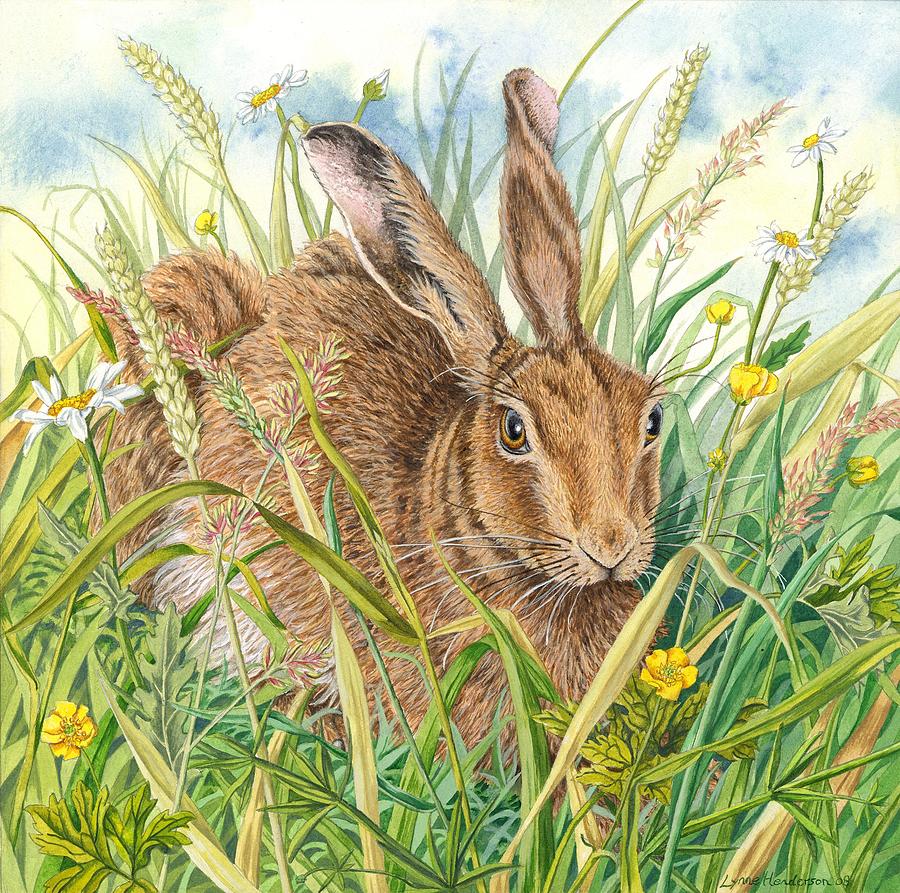 Brown Hare Painting by Lynne Henderson