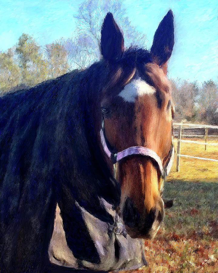Brown Horse Painting by Portraits By NC