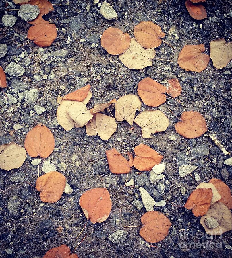 Brown Leaves Photograph by Anita Adams